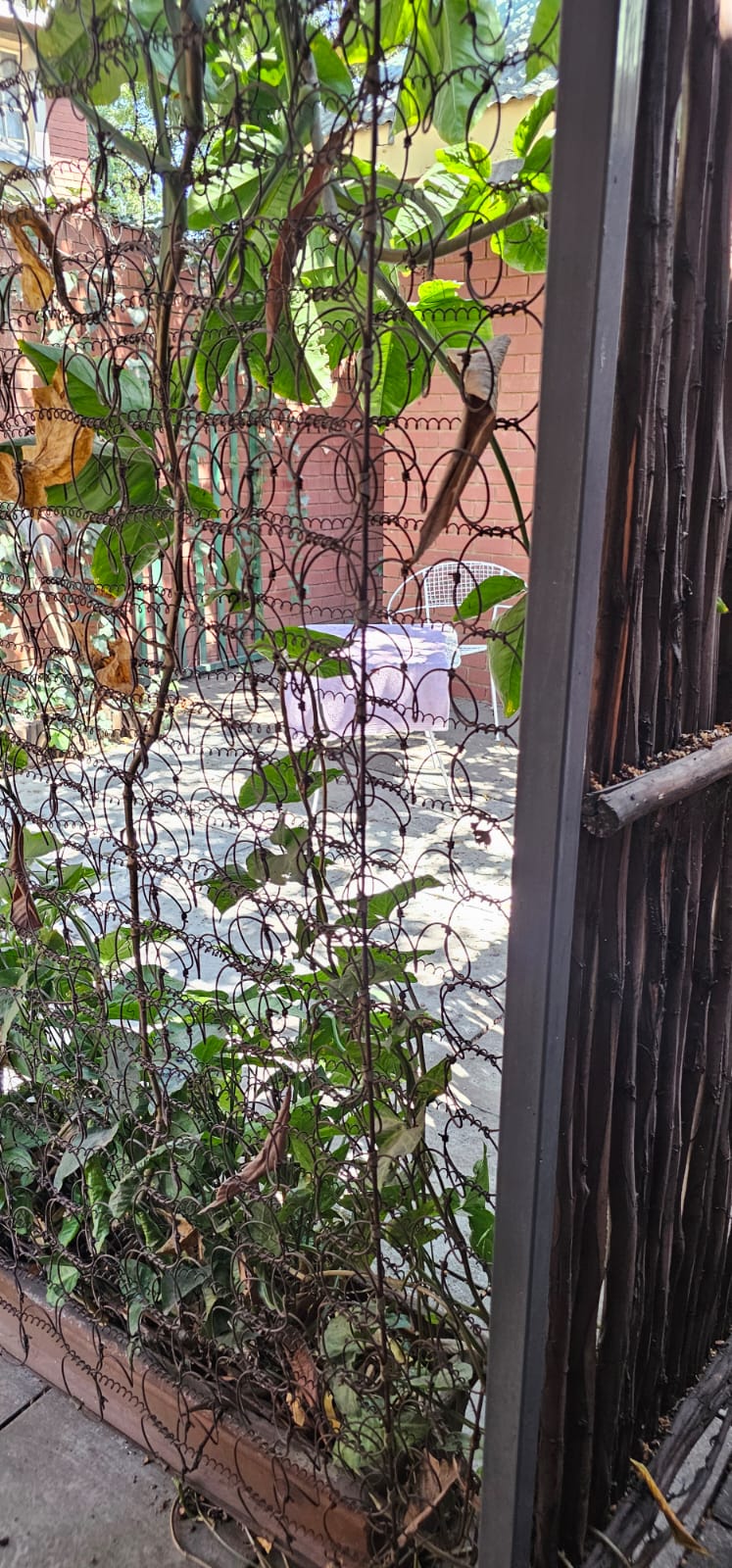 17 Bedroom Property for Sale in Rustenburg Central North West